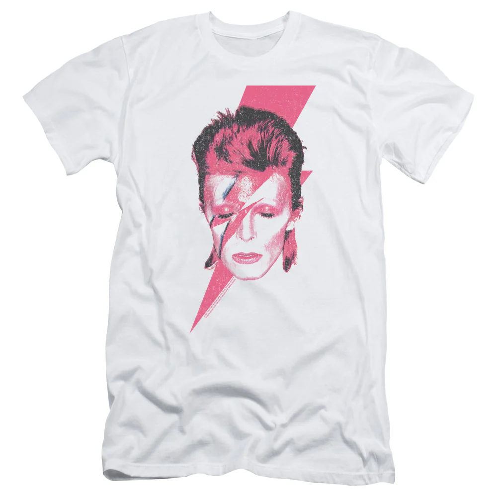 Aladdin Sane Logo - Image 7