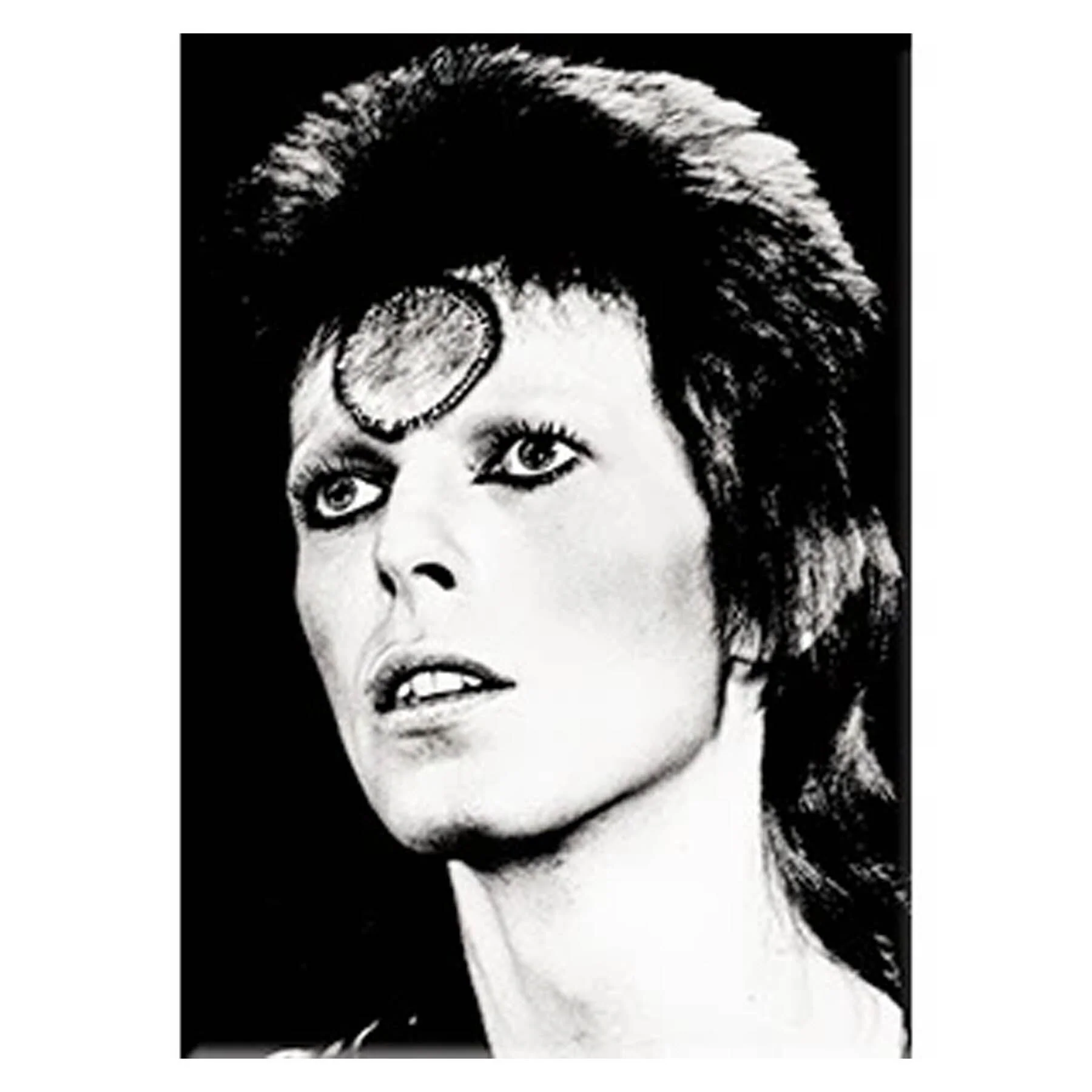 David Bowie Black & White 2.5"x3.5" Magnet