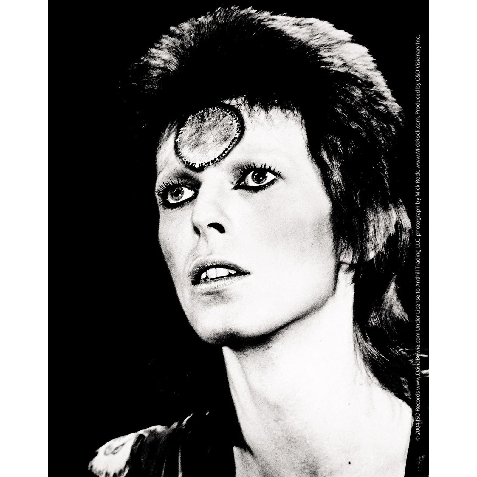 David Bowie Black & White 4"x5" Sticker