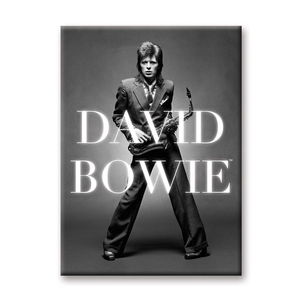 David Bowie - BW Logo 2.5" x 3.5 " Flat Magnet