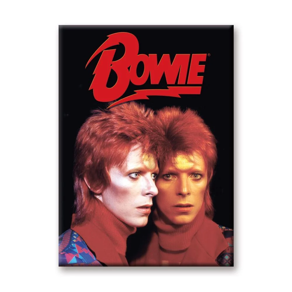 David Bowie - Reflection 2.5" x 3.5" Flat Magnet