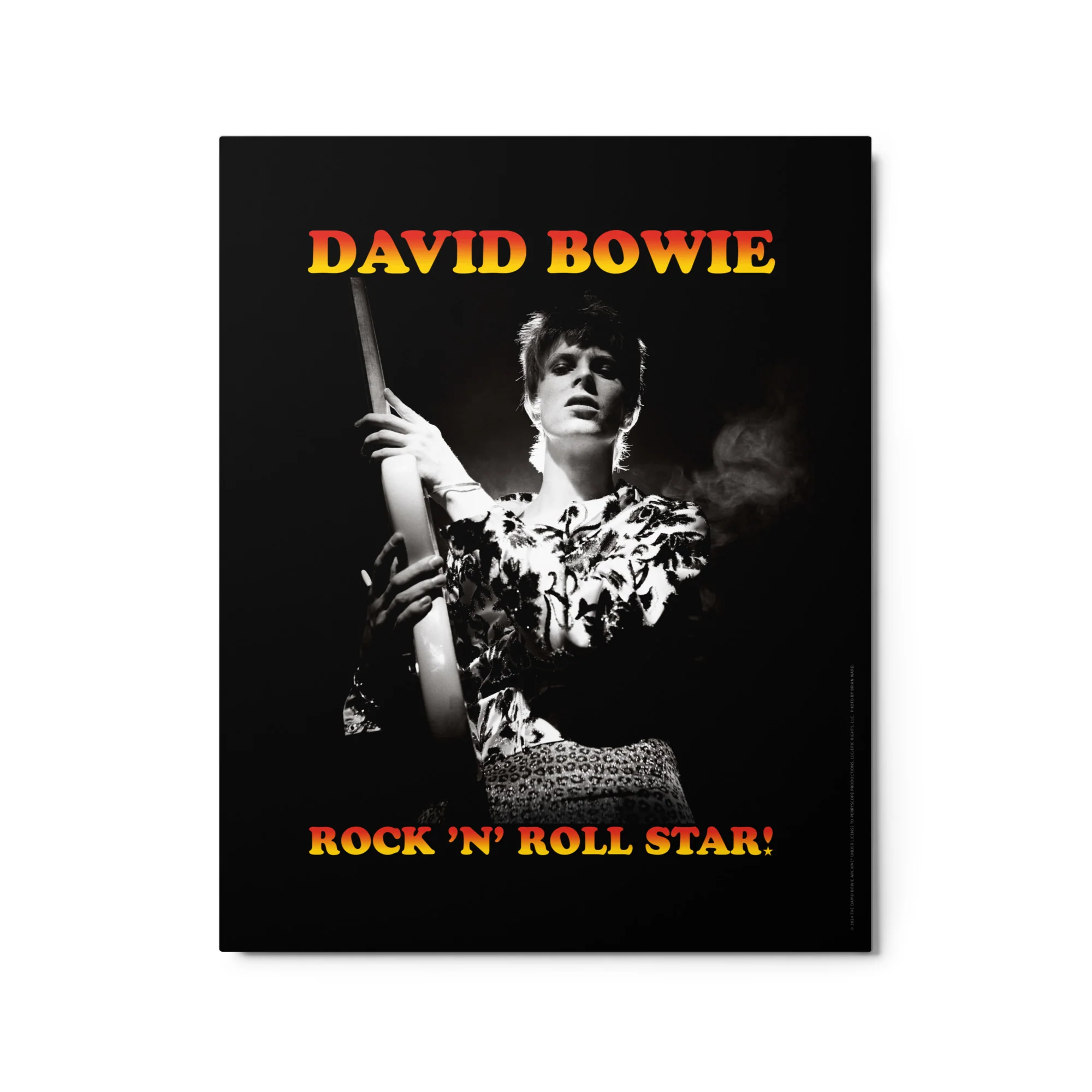 David Bowie Rock n' Roll Star Metal Print