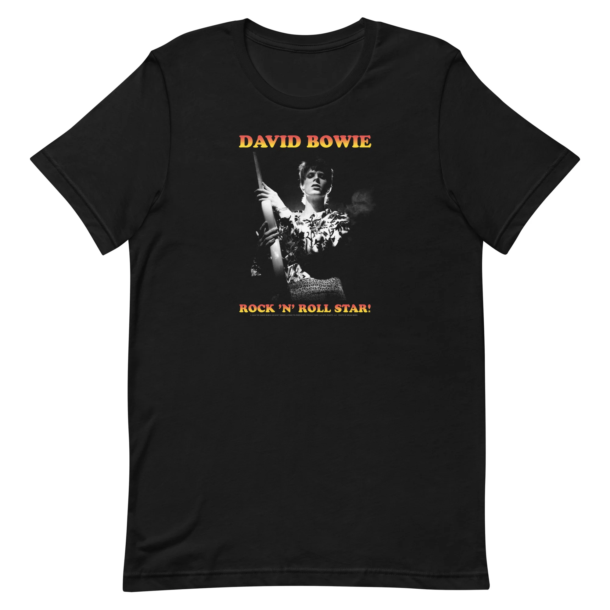 David Bowie Rock n' Roll Star T-Shirt