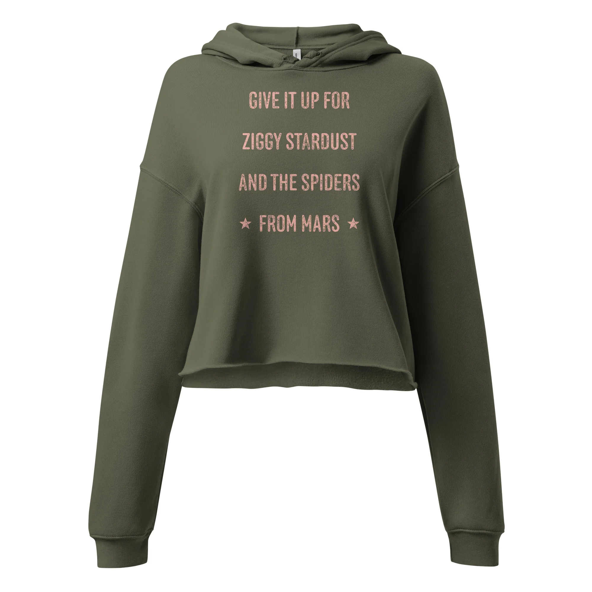 Give it up for Ziggy Cropped Hoodie - Image 3