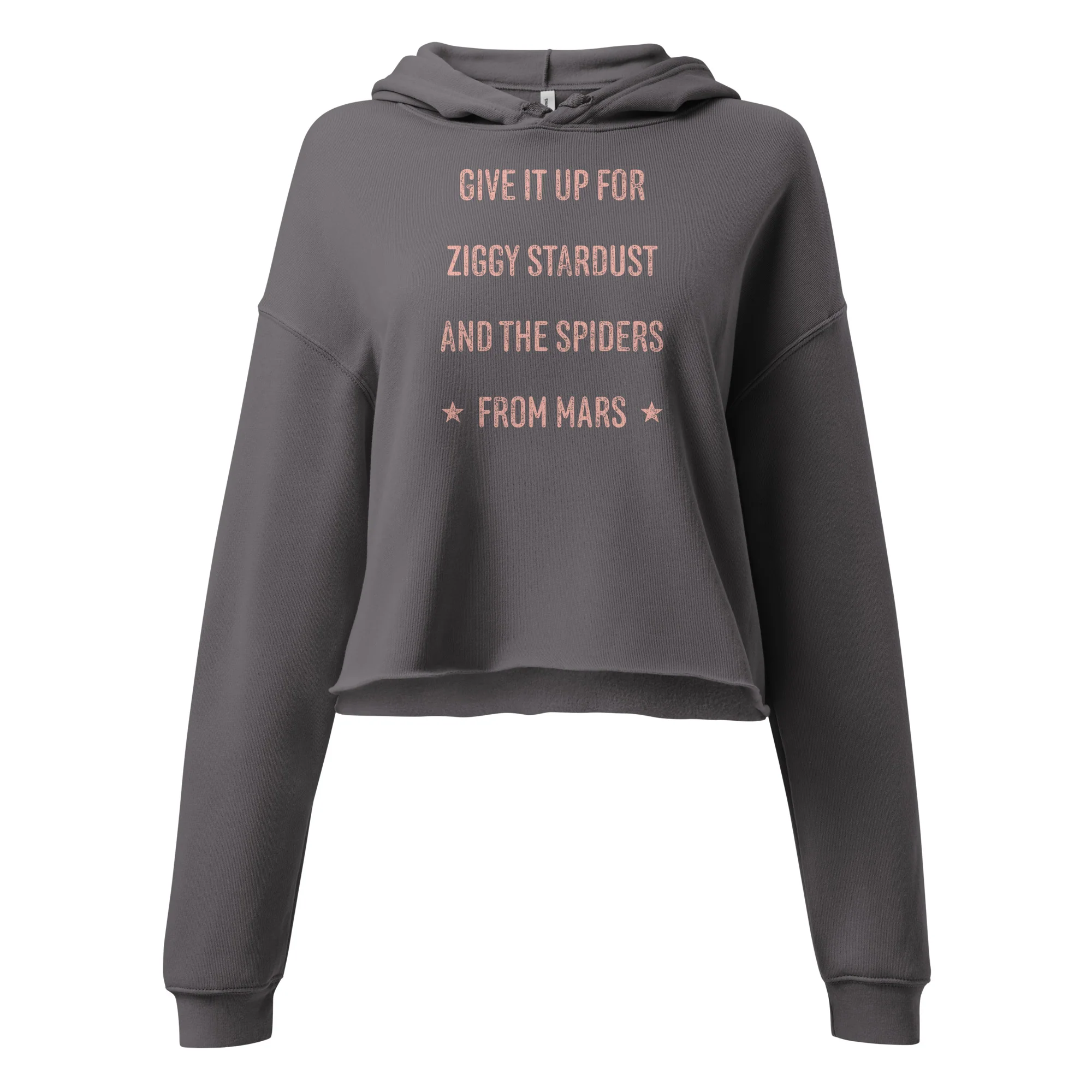 Give it up for Ziggy Cropped Hoodie - Image 5