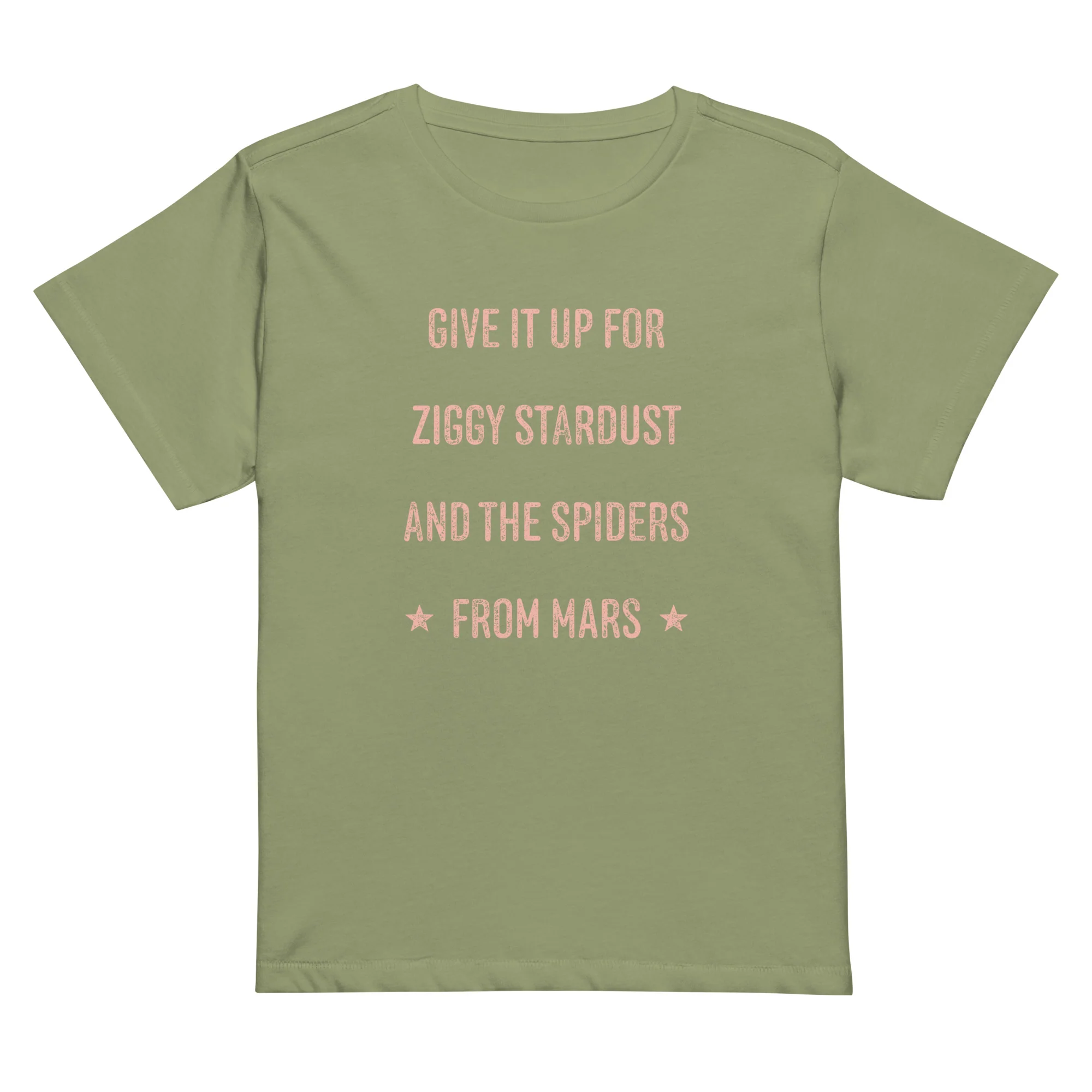 Give it up for Ziggy Women's T-Shirt