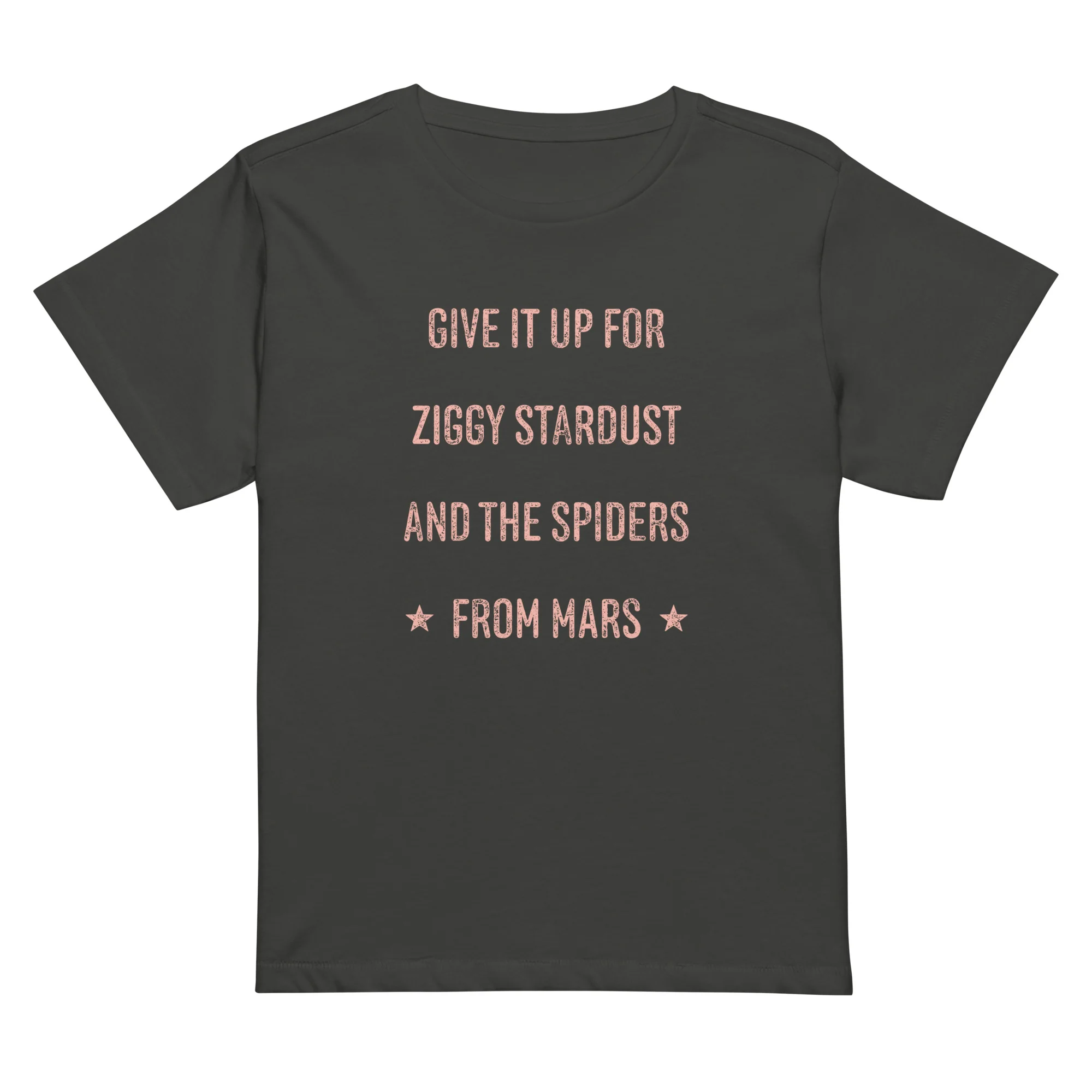 Give it up for Ziggy Women's T-Shirt - Image 3