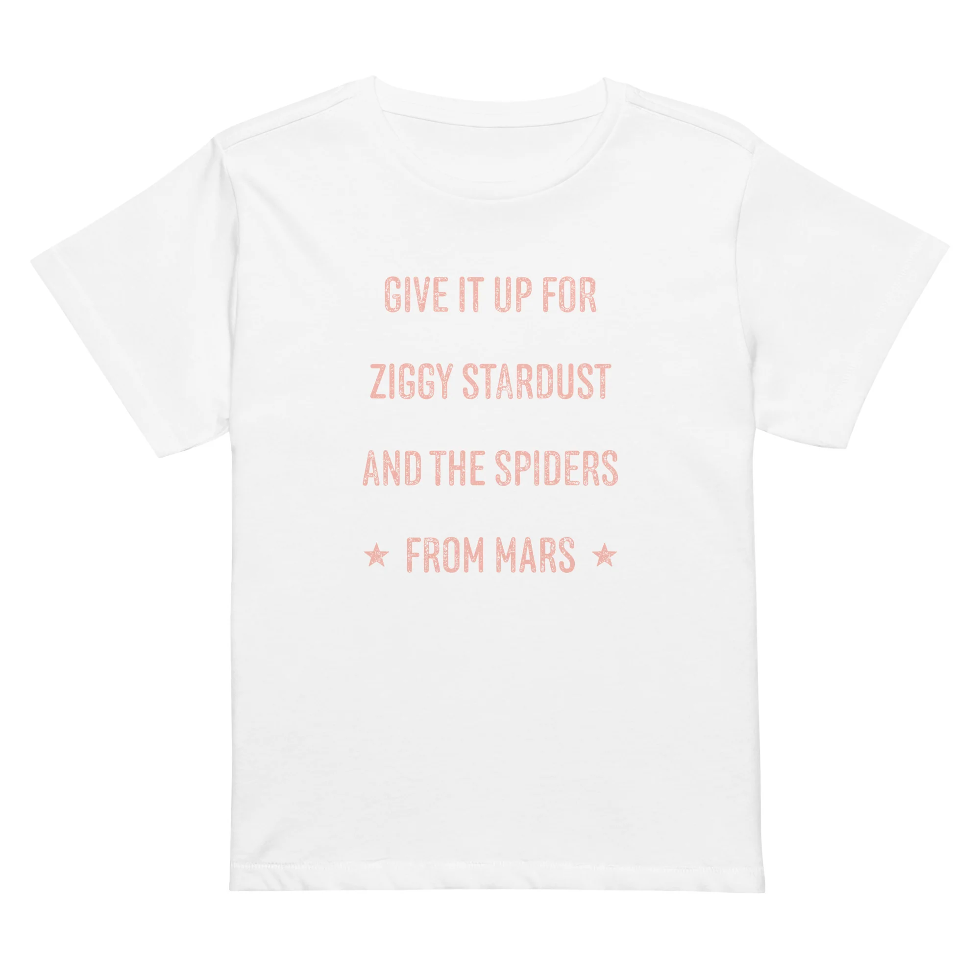 Give it up for Ziggy Women's T-Shirt - Image 5