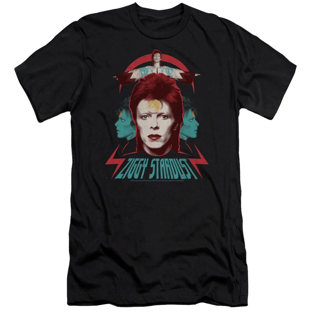 Ziggy Heads Logo(Choice of Style) - Image 7